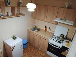 Апартаменты Apartment Borodinsky Запорожье Апартаменты с 1 спальней-18