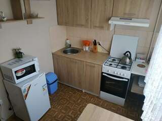Апартаменты Apartment Borodinsky Запорожье Апартаменты с 1 спальней-9